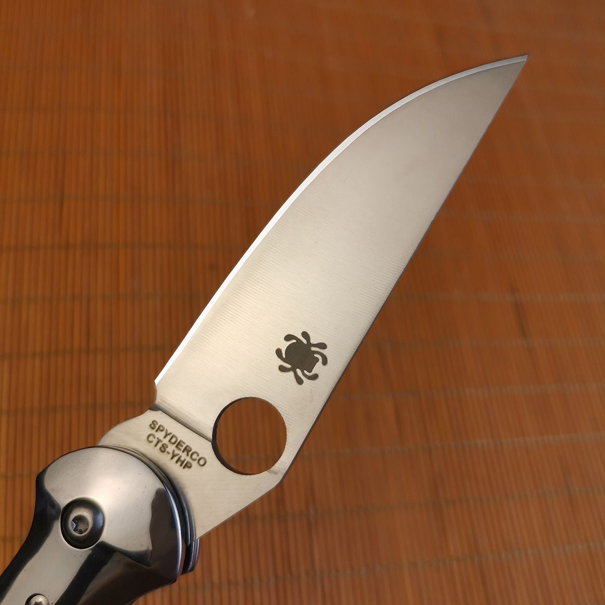 Spyderco Floding Knife