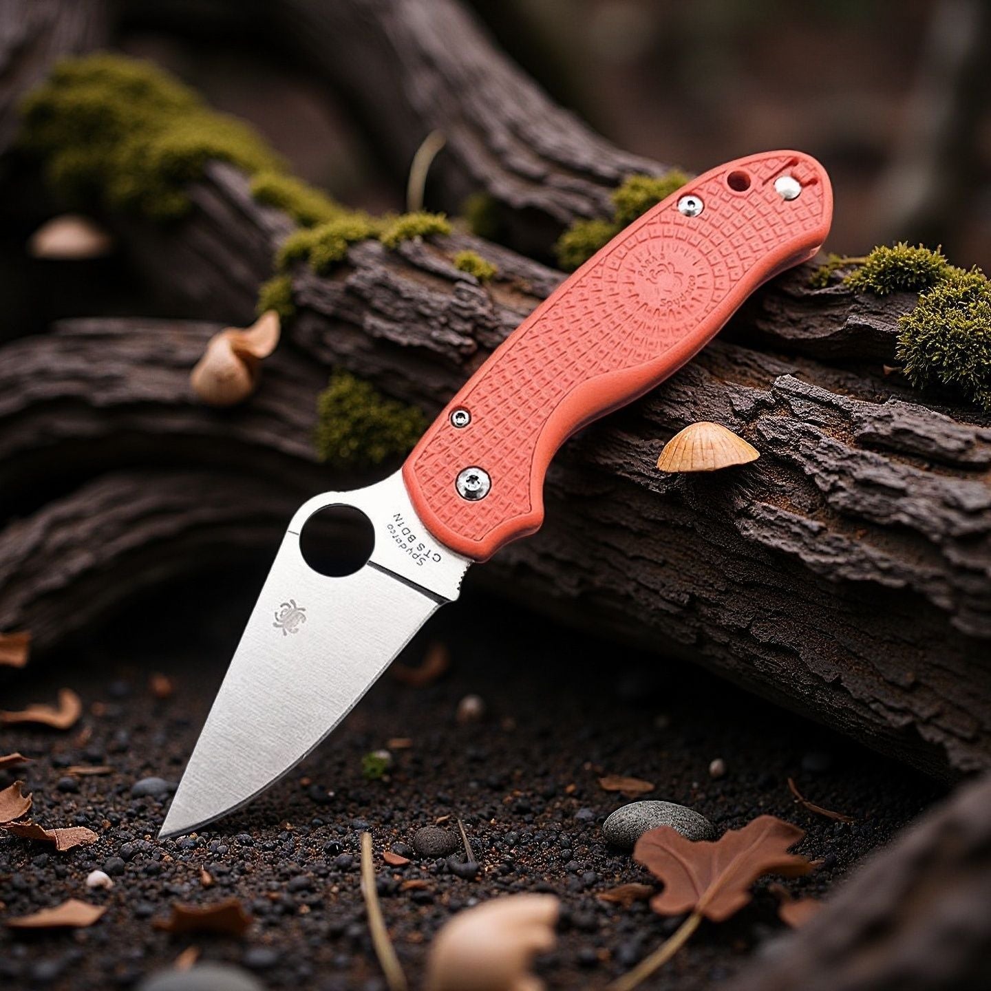 Spyderco C223 Pocket Knife Light Weight Plain Edge