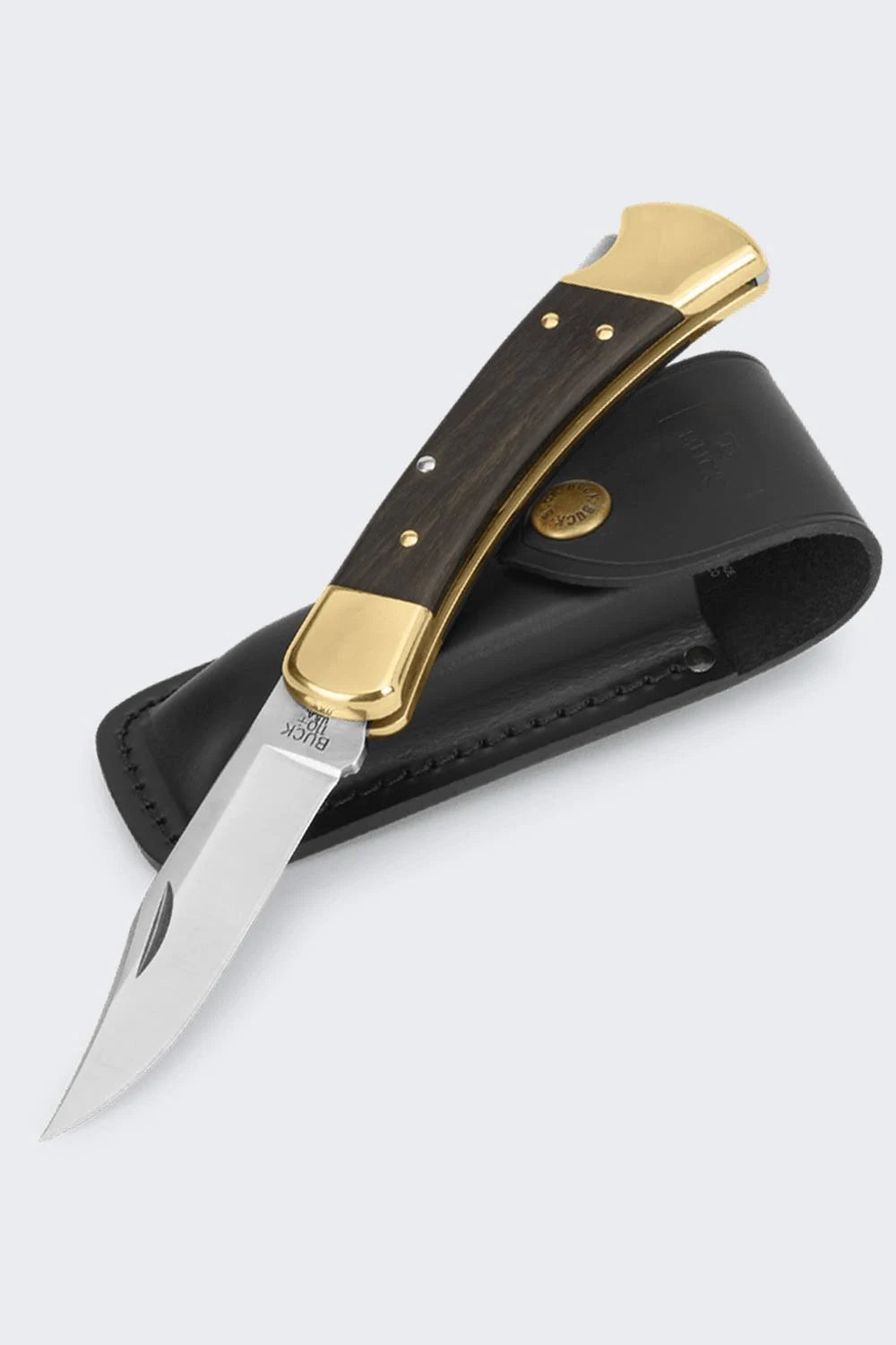 Classic Buck 110 Folding Hunting Knife