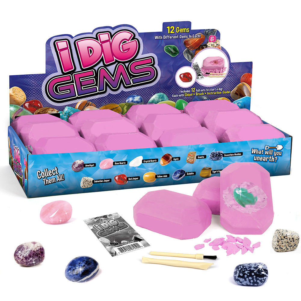 Dig Kit Archaeology Science Stem Gift 12pcs Model Educational Toy Gift for Kids