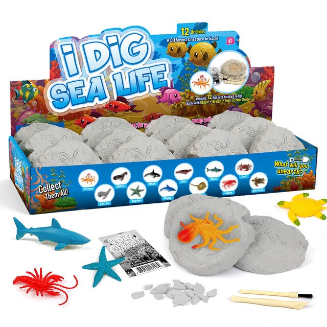 Dig Kit Archaeology Science Stem Gift 12pcs Model Educational Toy Gift for Kids